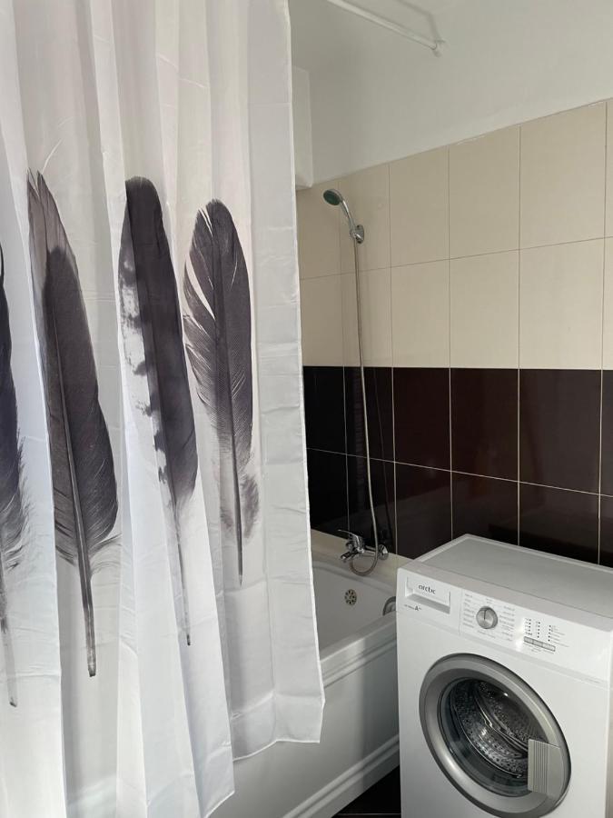 En Passant / a time in Iasi Apartment Bagian luar foto